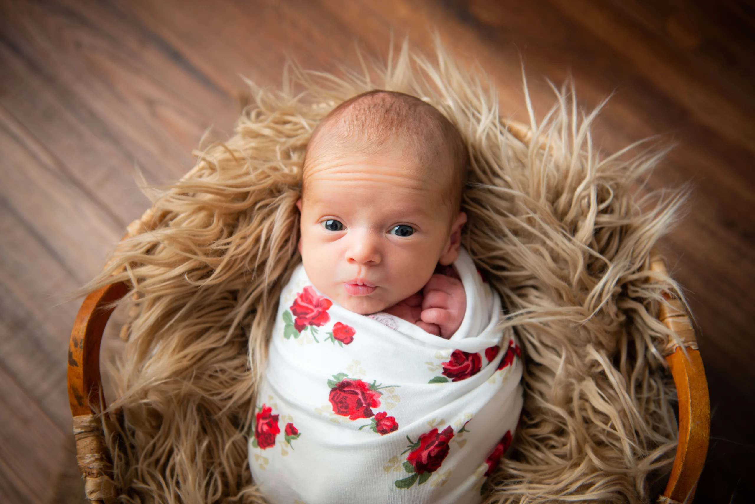 Newborn Photography